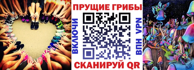 как найти наркотики Юхнов Псилоцибиновые грибы Magic Shrooms